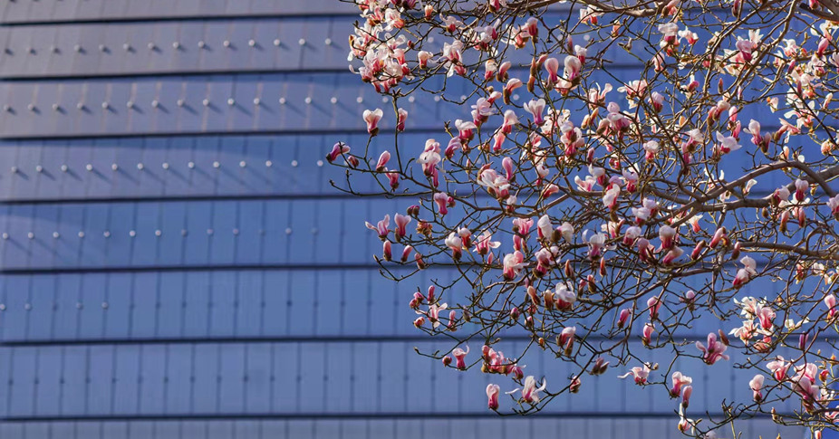 外部景觀－殼體