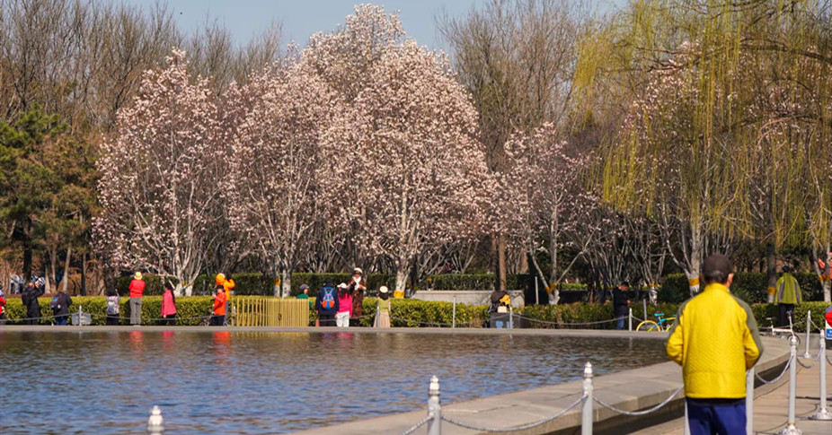 外部景觀-綠化帶